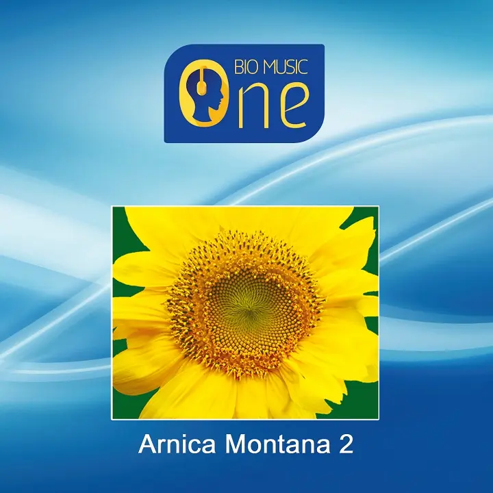 Arnica Montana 2 album cover